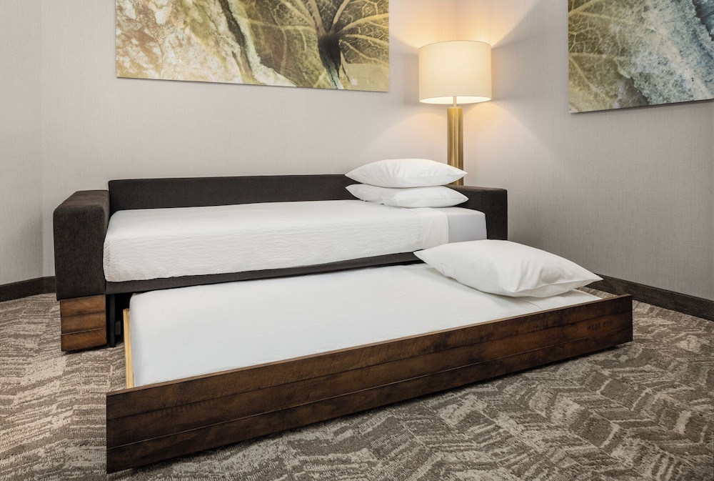 SpringHill Suites by Marriott Eau Claire