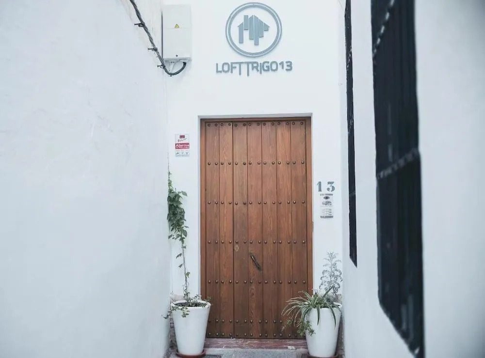 Lofts Trigo 13
