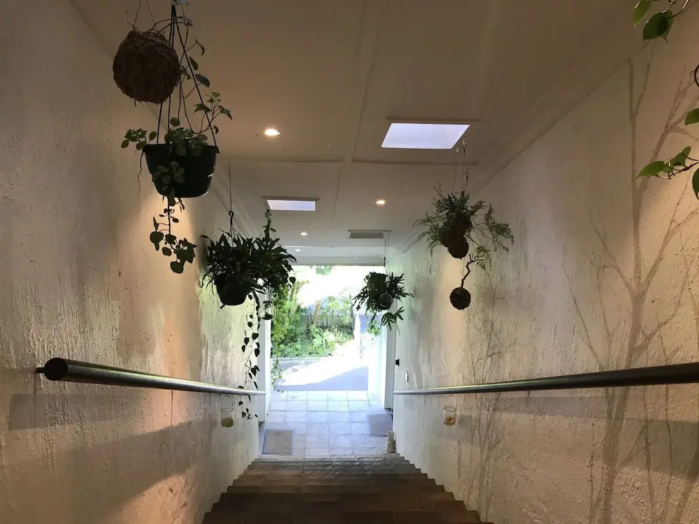Beach Forest Lodge