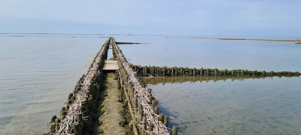 Deichhus Nordseeliebe direkt am Deich - Nordsee - Dagebüll - Am Vogelreservat