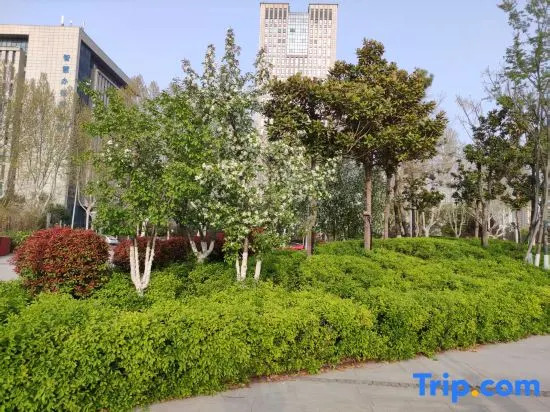 Qiaocheng Hotel