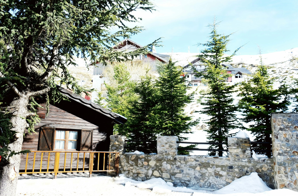 El Lodge, Ski & Spa