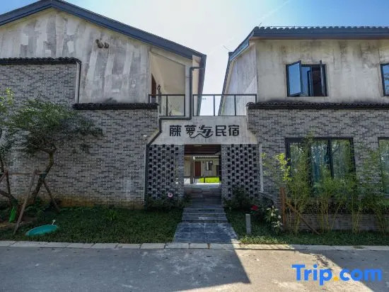 Wunvzhou Resort Wuxian Caishen Island Light Luxury Hotel