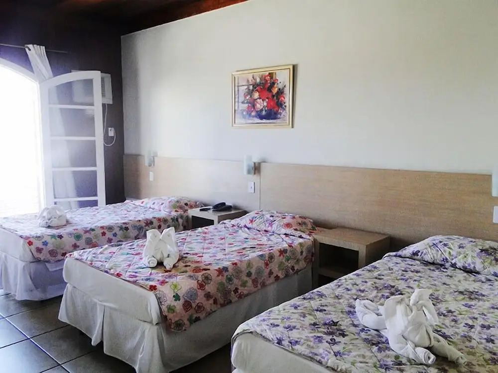 Alzira Park Hotel Ltda