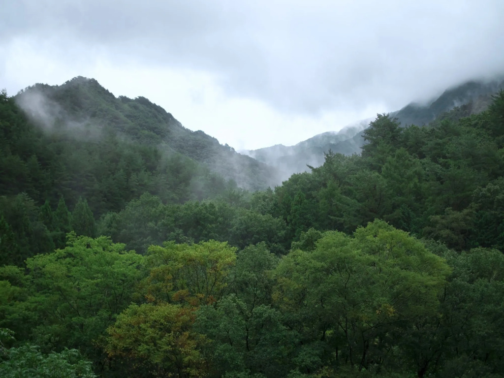古民家宿るうふ 坂之家 Heritage Villa LOOF Sakanoie