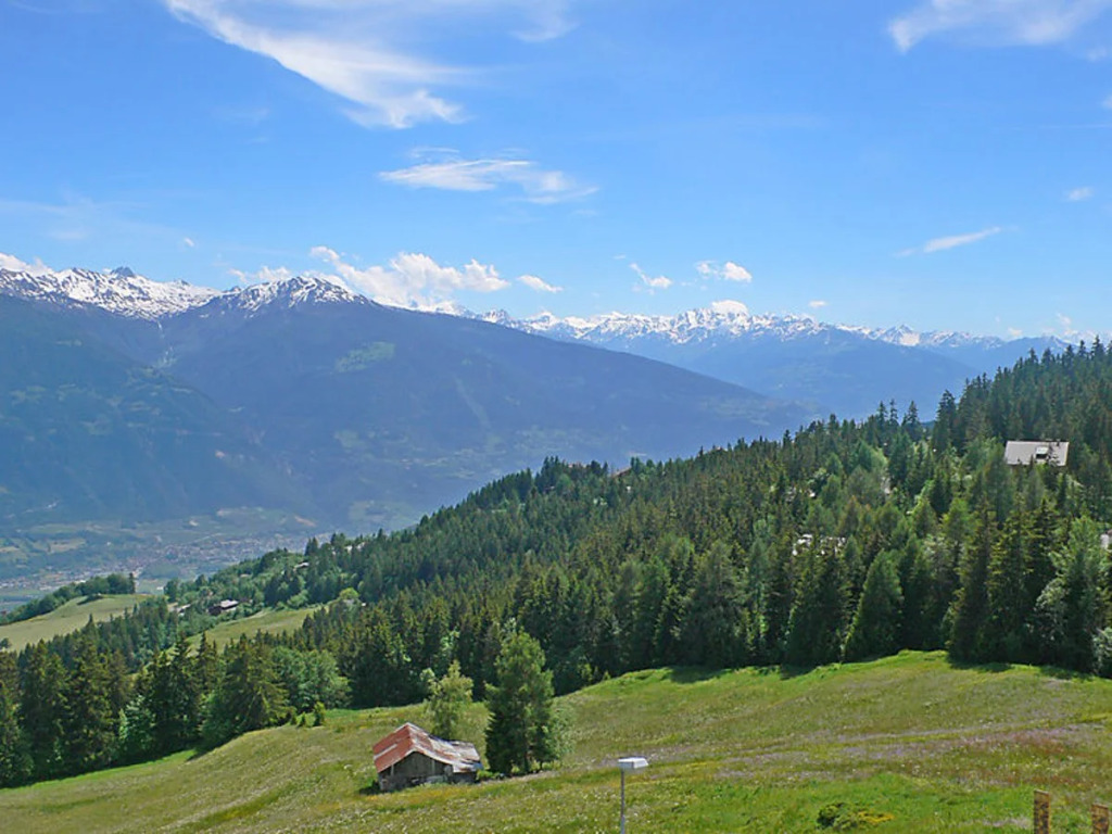 La Clairière des Barzettes A/B 14576