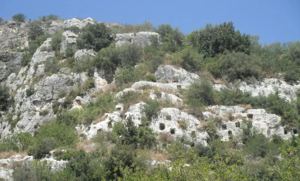 Casa vacanze il Glicine 3
