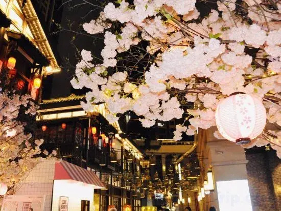 Fengjun Yazhi Hotel