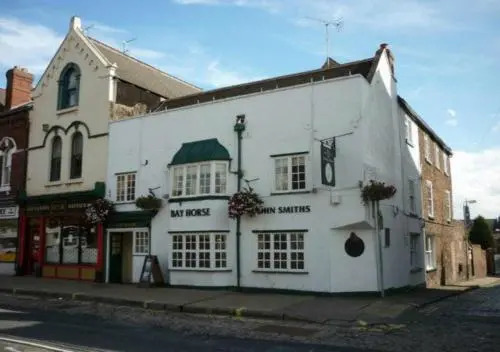 Bay Horse