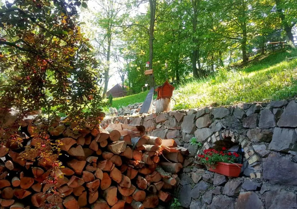 Brvnare Platan Fruška Gora