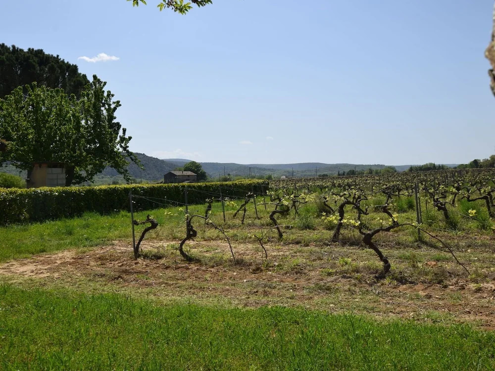 Gite on a Quiet Property, Through a Wine Garden Surrounding
