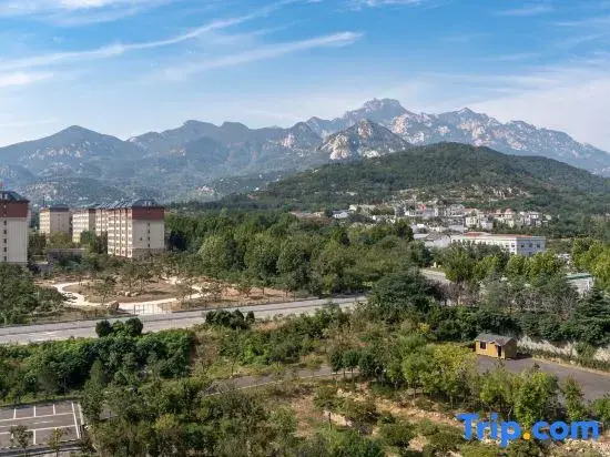 Tai'an  Jianguo Hidden Garden-style Hotel