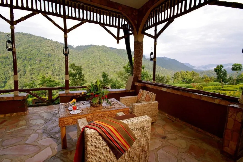 Silverback Lodge