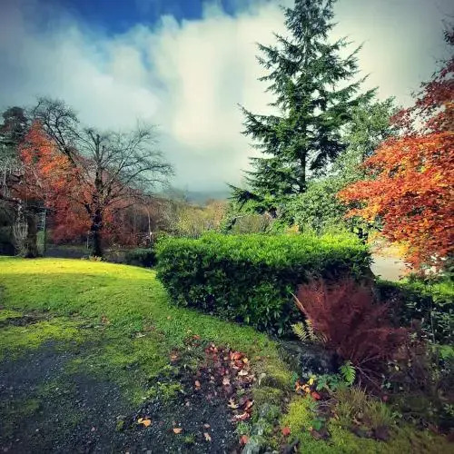 Glenorchy Lodge Hotel-Rooms Only