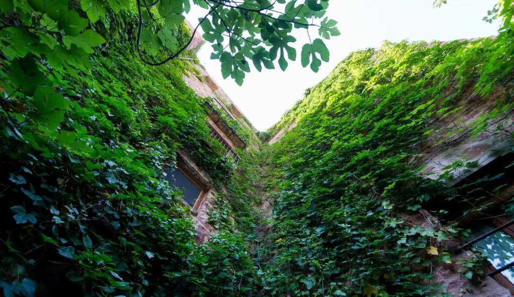 El Jardín Vertical