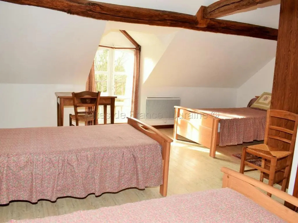 Maison de caractère avec jardin, climatisation et vélos près dAmboise - FR-1-381-357