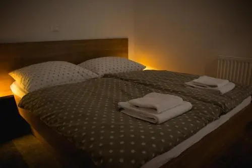 Apartma Planika