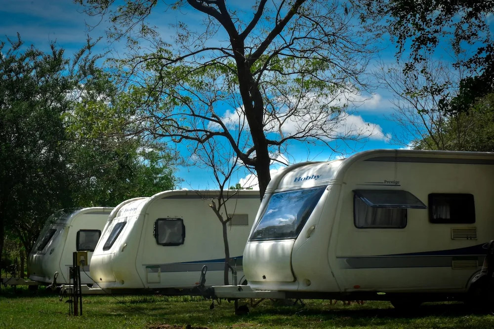 Big Game on Wheels - Wilpattu