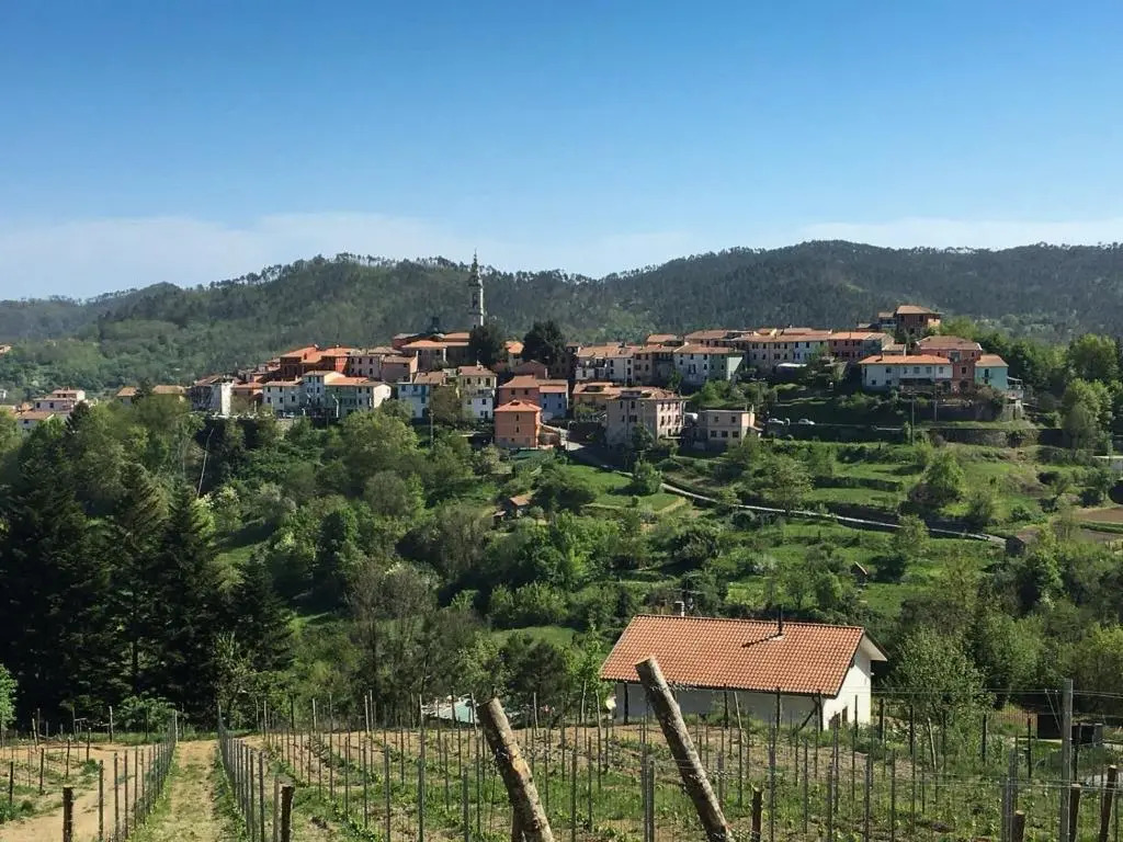La Paganina Suite