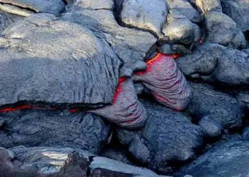 Volcano Dancing Ferns