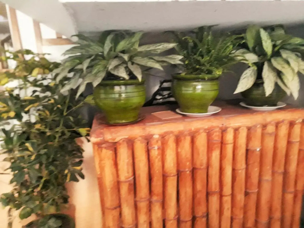 Hostal Mendieta