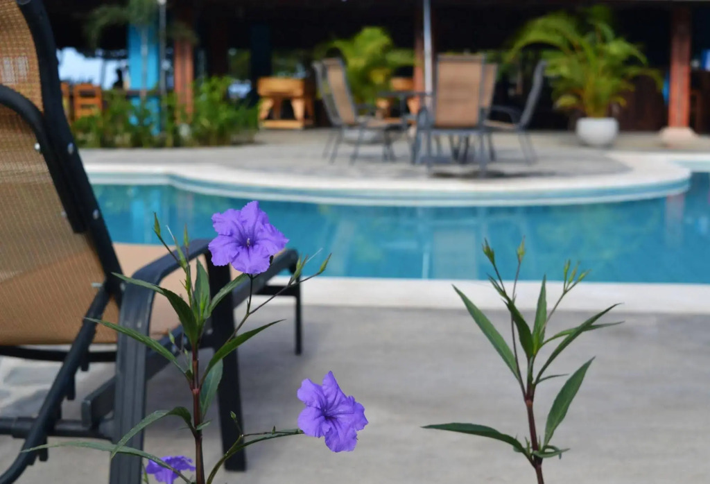 Beach Break Resort