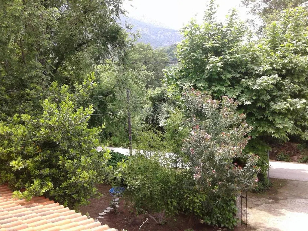 Akamatis Giorgos