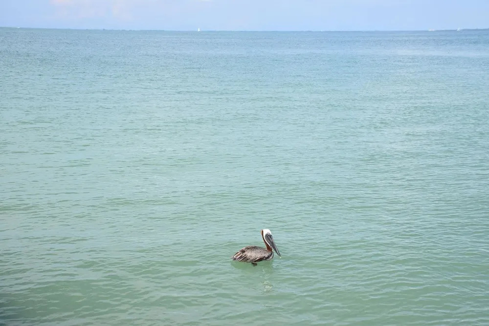 Runaway Bay 270 - 1357301
