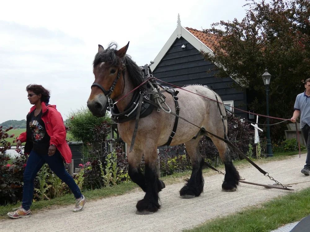 B&B Rechthuis van Zouteveen
