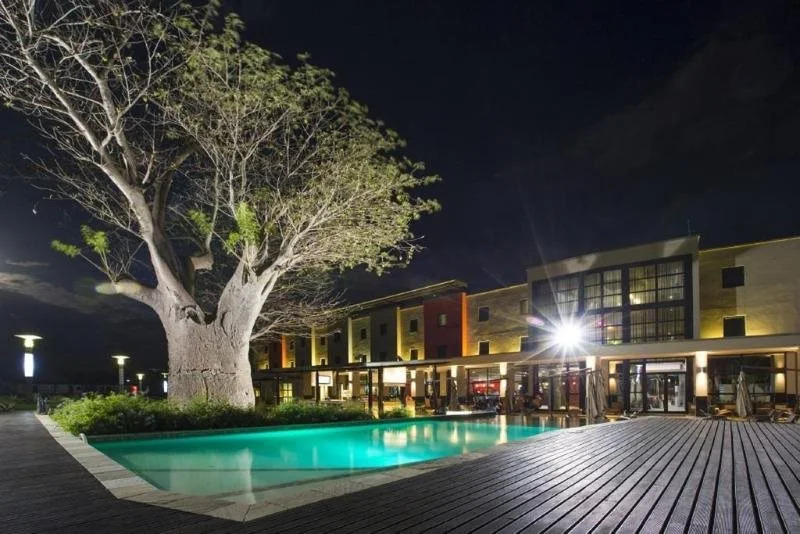 The VIP Executive Baobab