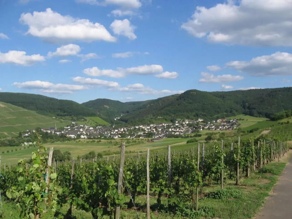 Pension Auf der Olk mit Röpertsmühle