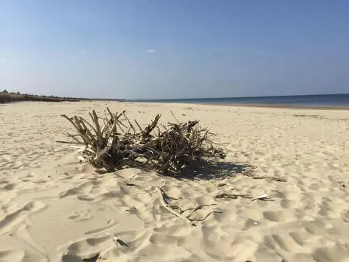 Bajkowa Plaża - Muszelka
