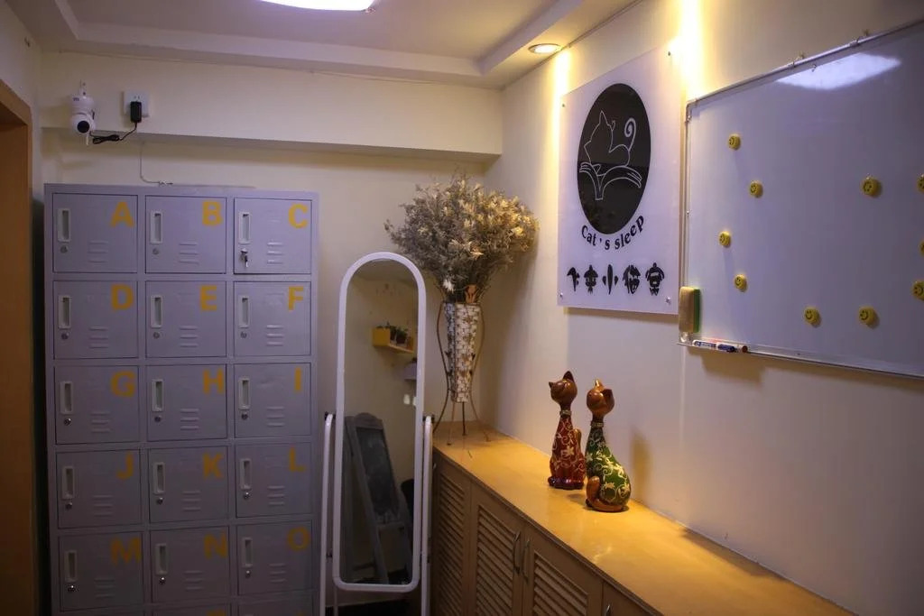 Kunming Cat Nest Female Youth Hostel