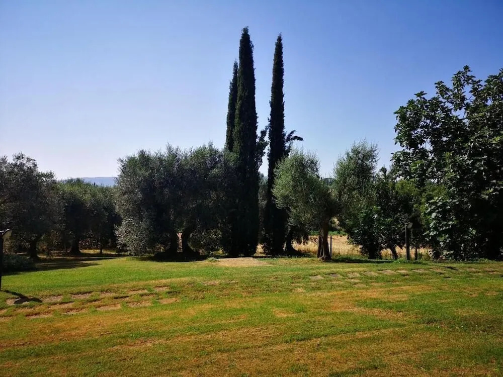 Poggio del Sole