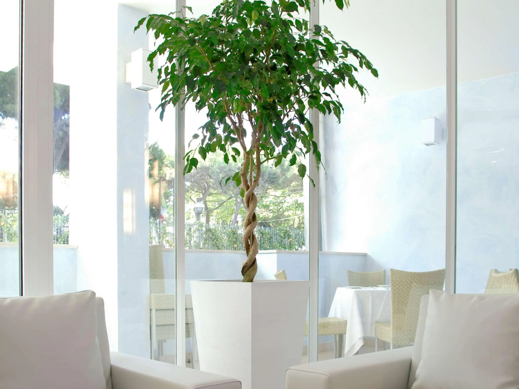 Mercure Rimini Lungomare
