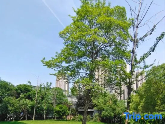 Bo Shi Hotel (Wuhan International Expo Center North Subway Station)
