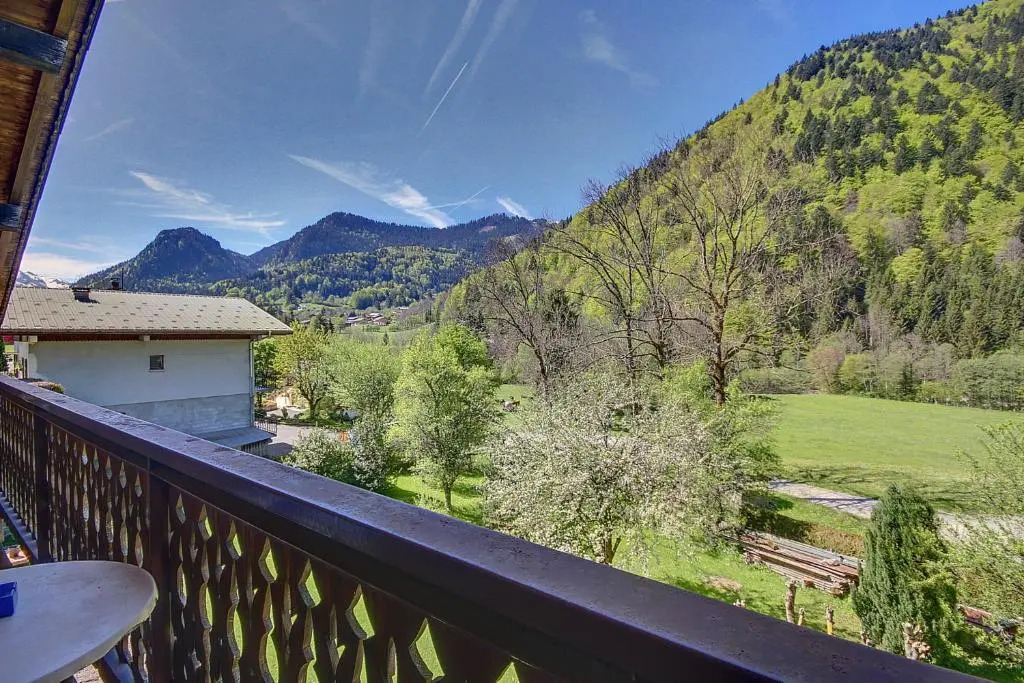 GRAND APPARTEMENT - WIFI -SAINT JEAN D'AULPS - 12 Personnes - HIRONDELLE