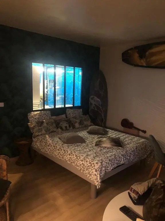 Studio sur la plage vue mer piscine Biarritz