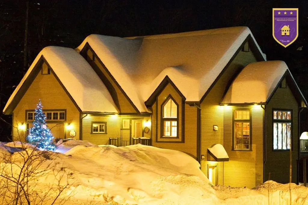 Chalets Alpins -41 Chemin des Skieurs