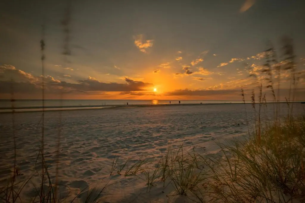 Loggerhead Lodge