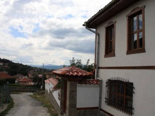 Iliikova House