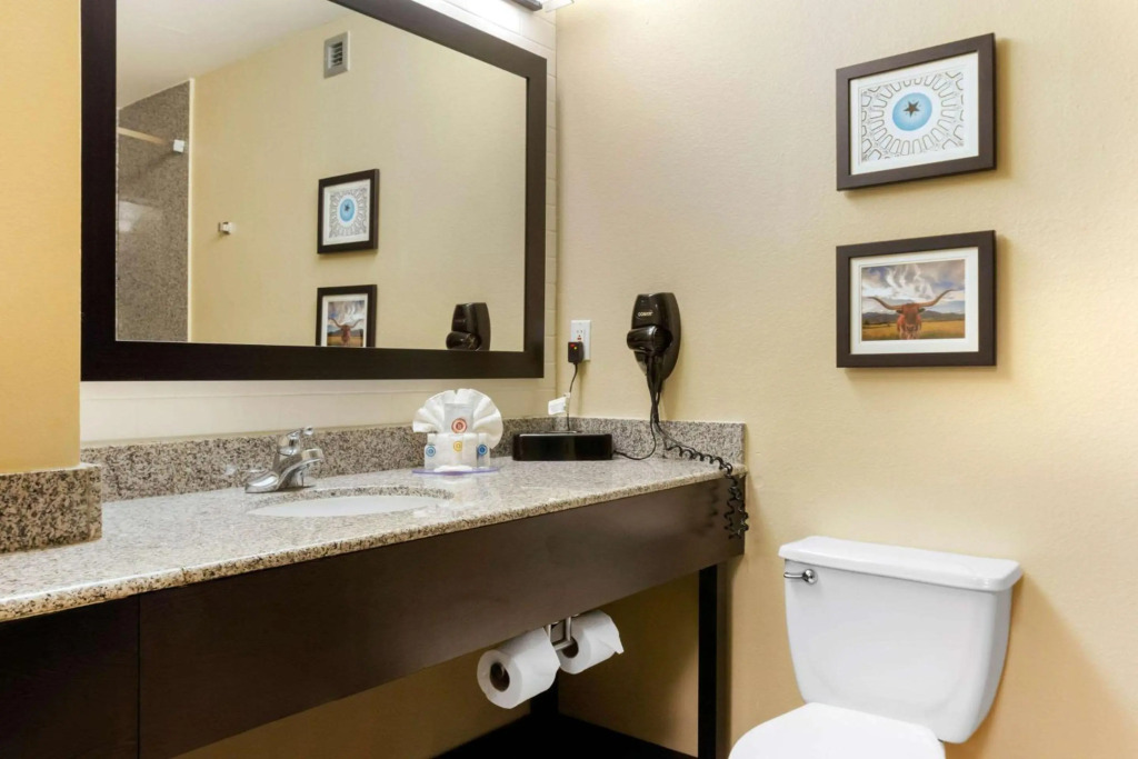 Comfort Inn & Suites Amarillo East