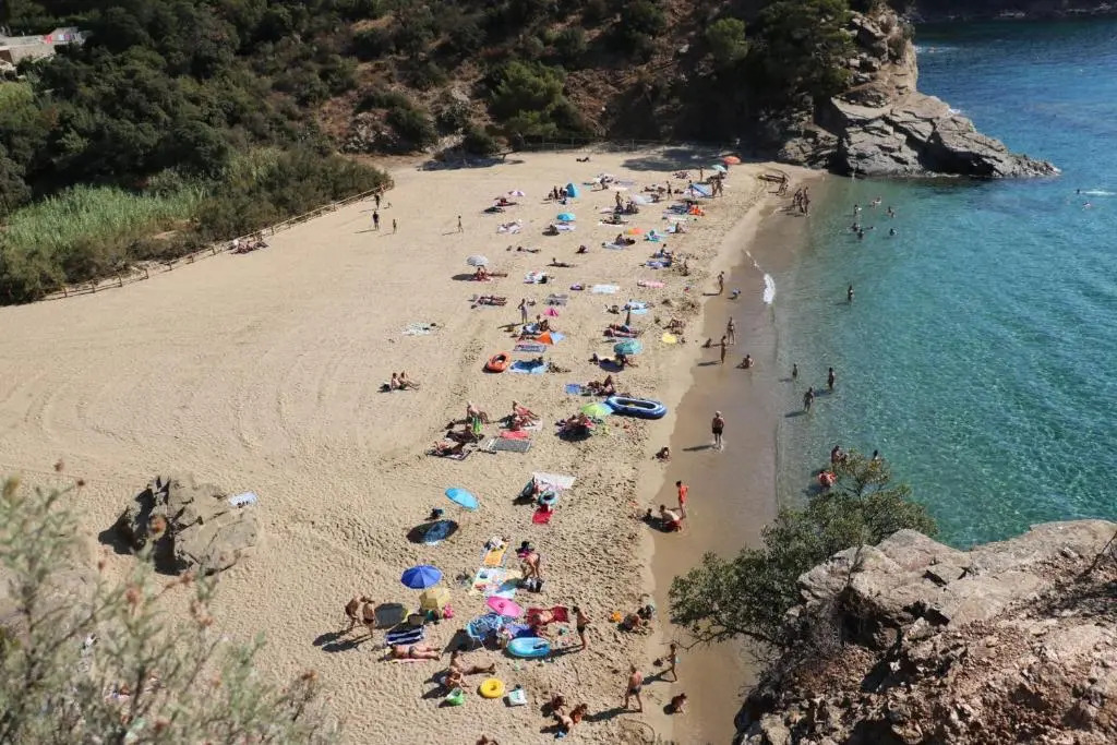 Nice AC studio with large terrace feet in the water in Cavalaire - Welkeys