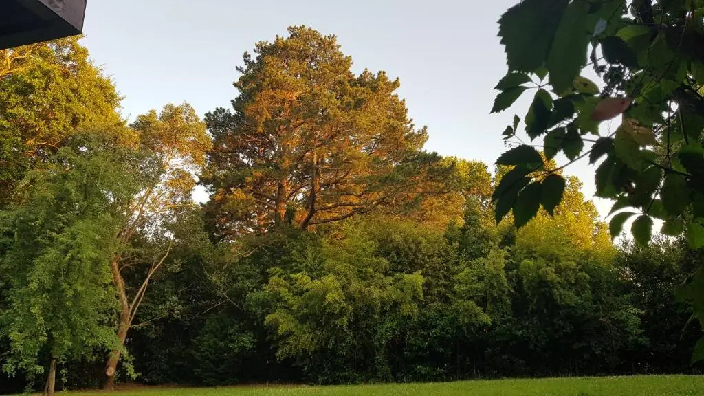t3 avec sa terrasse ensoleillée