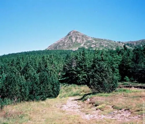 Camping du Meygal