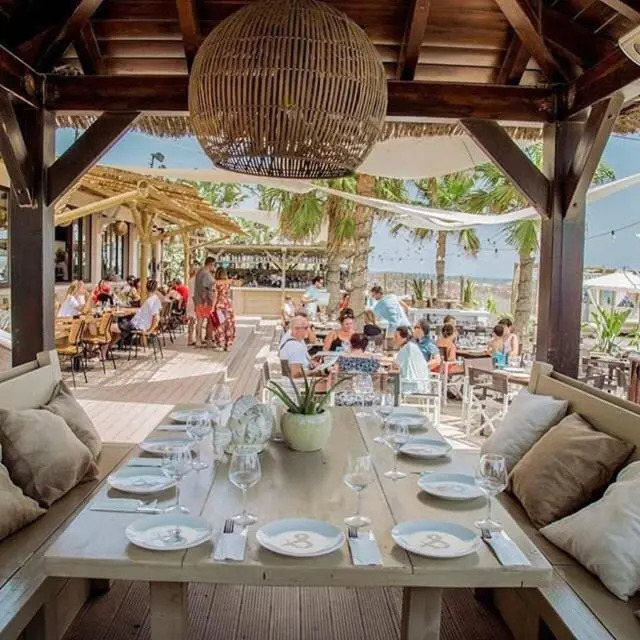 Exotico y bohemio apartamento frente al mar. Increible!!
