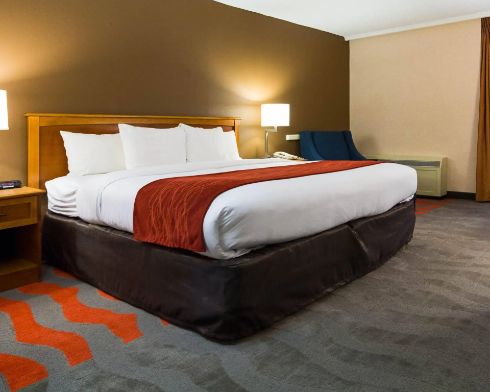 Comfort Inn & Suites Syracuse Airport