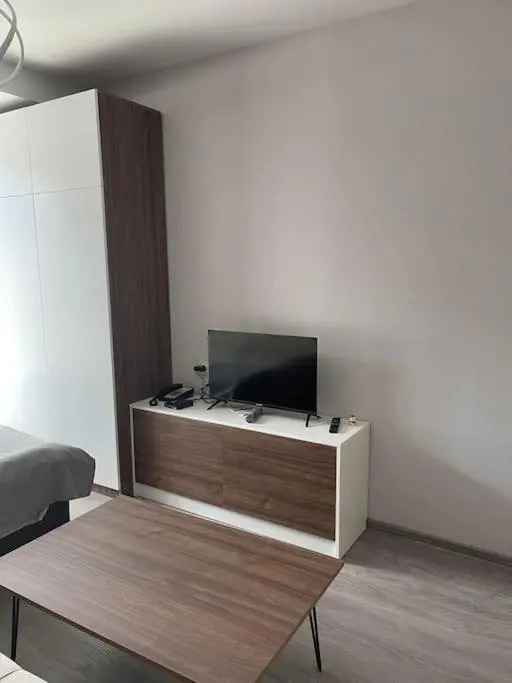 Cosy Appartment in Bakuriani