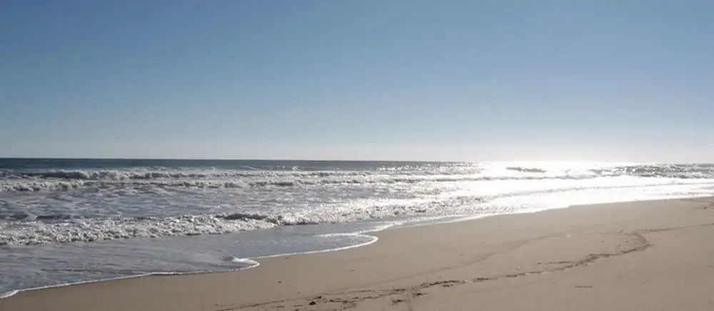 Seawinds II