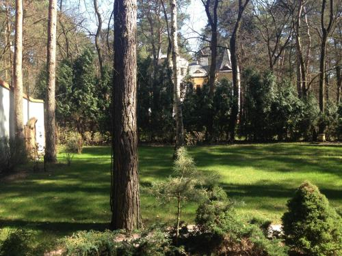 Villa Le Matin
